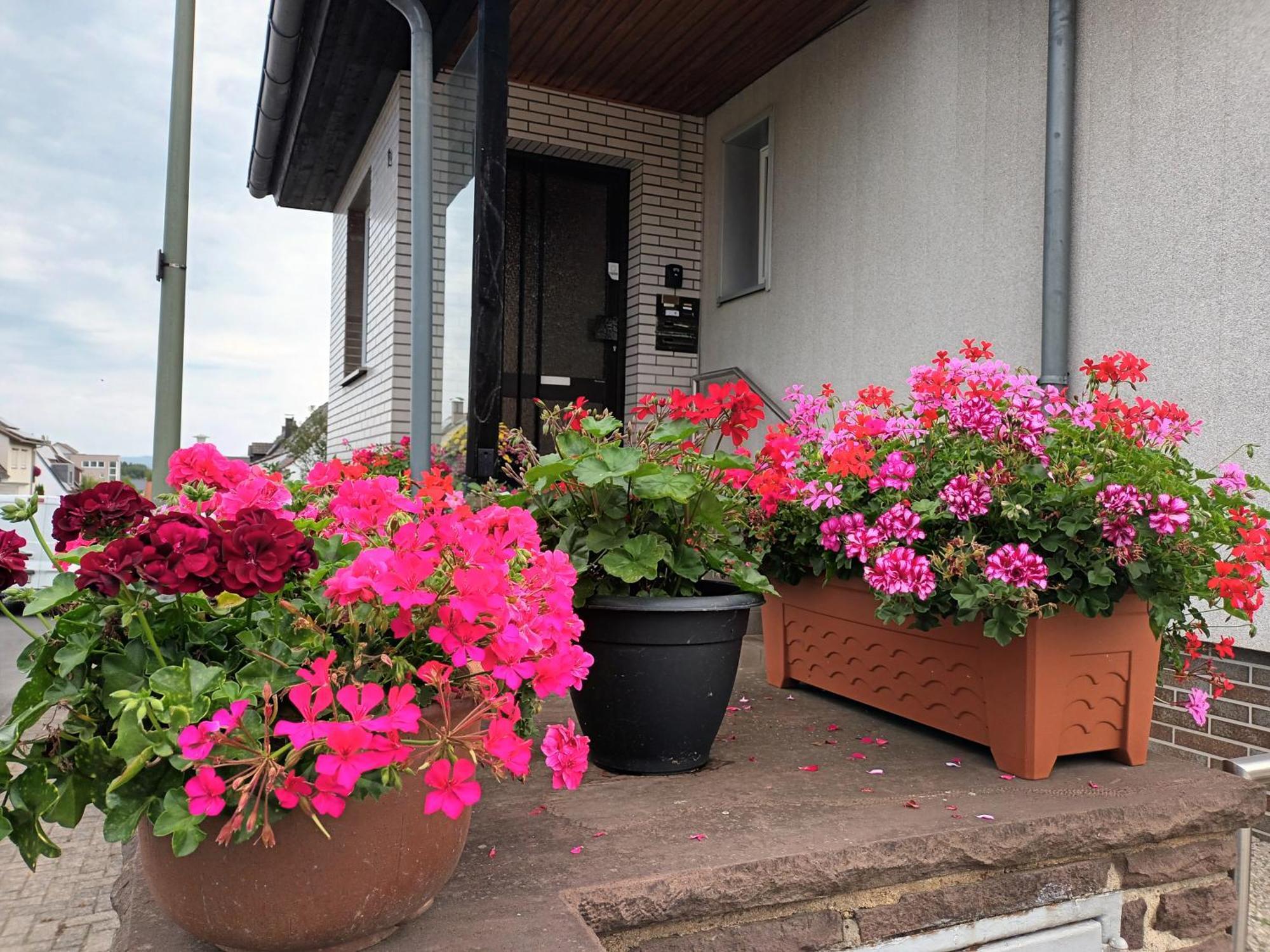 Ferienwohnung Kassel Exterior foto